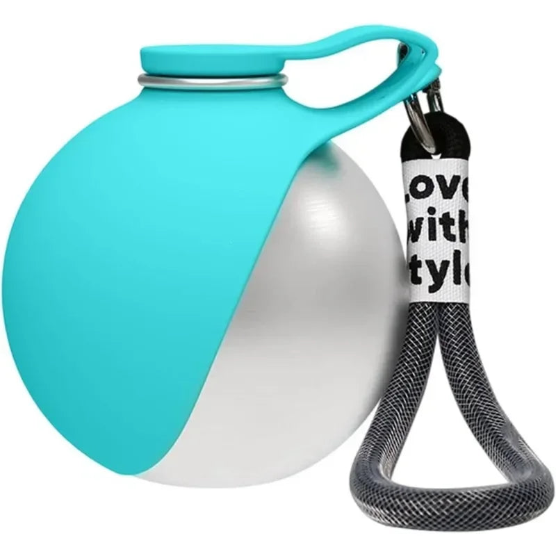 Stainless Steel Dog Water Bottle
